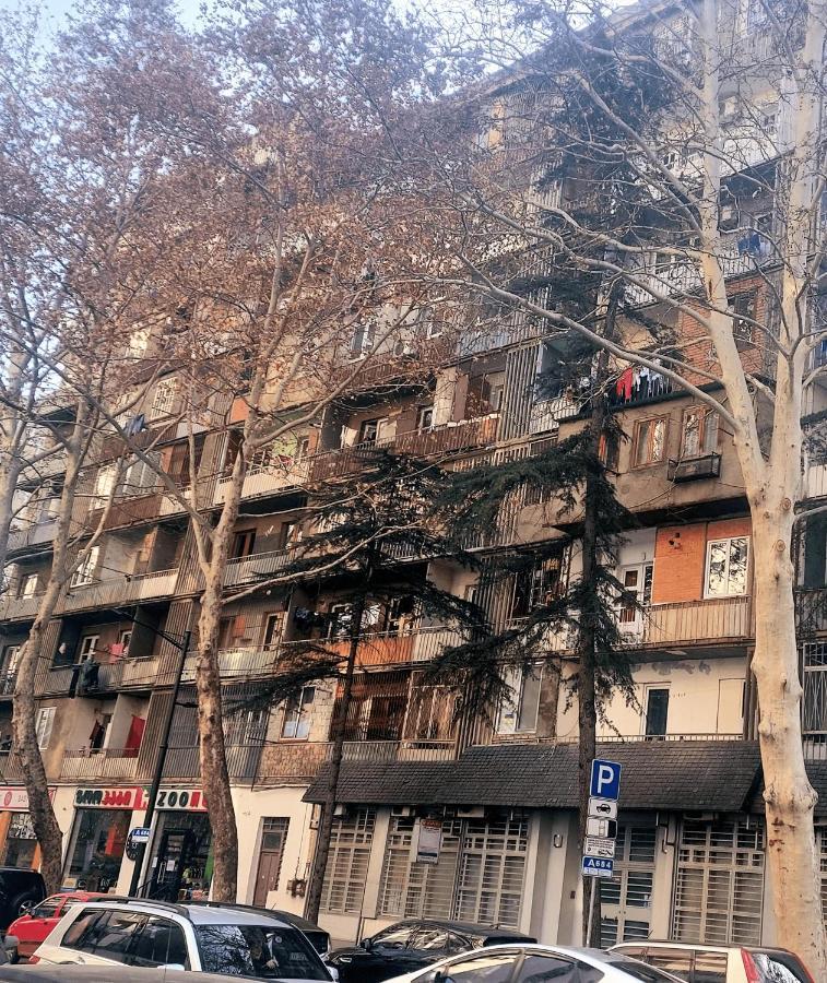 Apartment "B" With A Separate Bedroom Tiflis Dış mekan fotoğraf